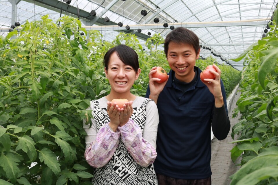 ビニールハウスで「神石高原まる豊とまと」を育てる生産者