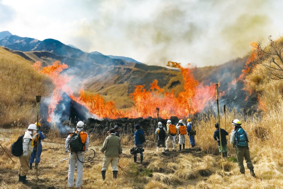 1,000年の草原を次世代へ。熊本県阿蘇市が挑む自然資本保全の最前線
