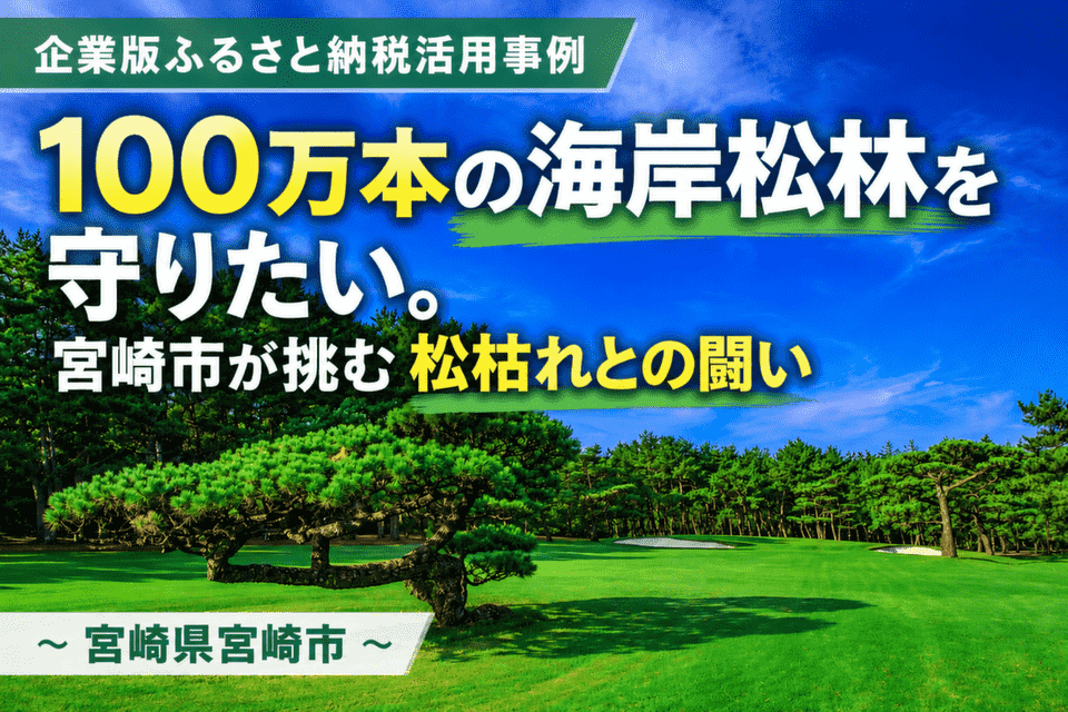 100万本の海岸松林を守りたい。宮崎市が挑む松枯れとの闘い