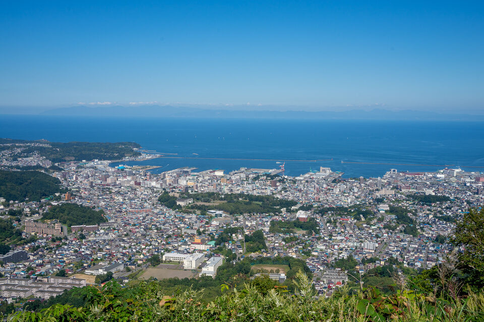 天狗山から見た小樽市内。中央が小樽公園
