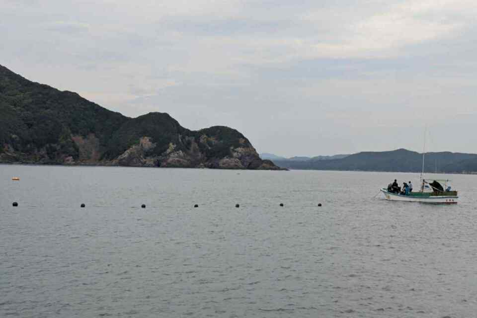 藻場機能再生の舞台となる、リアス海岸の美しい入江