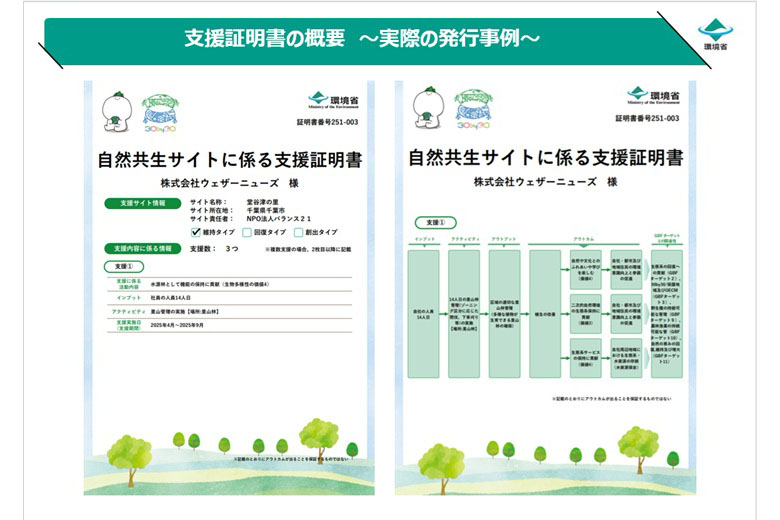支援証明書の実際の発行事例