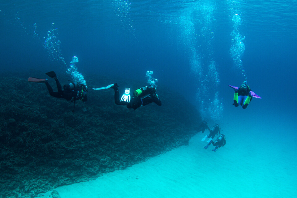 Green Finsのガイドラインに従ってダイビングを楽しむ観光客