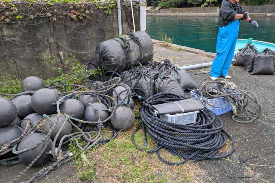 海藻栽培の適地を見極めるため、町内の各地を調査