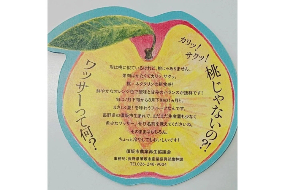 PRのために作成したワッサー型のリーフレット