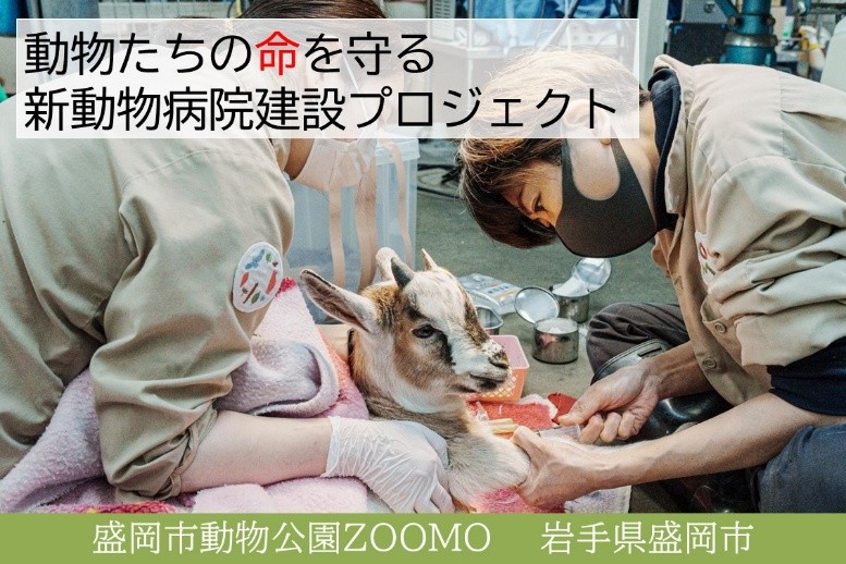 新動物病院建設プロジェクト