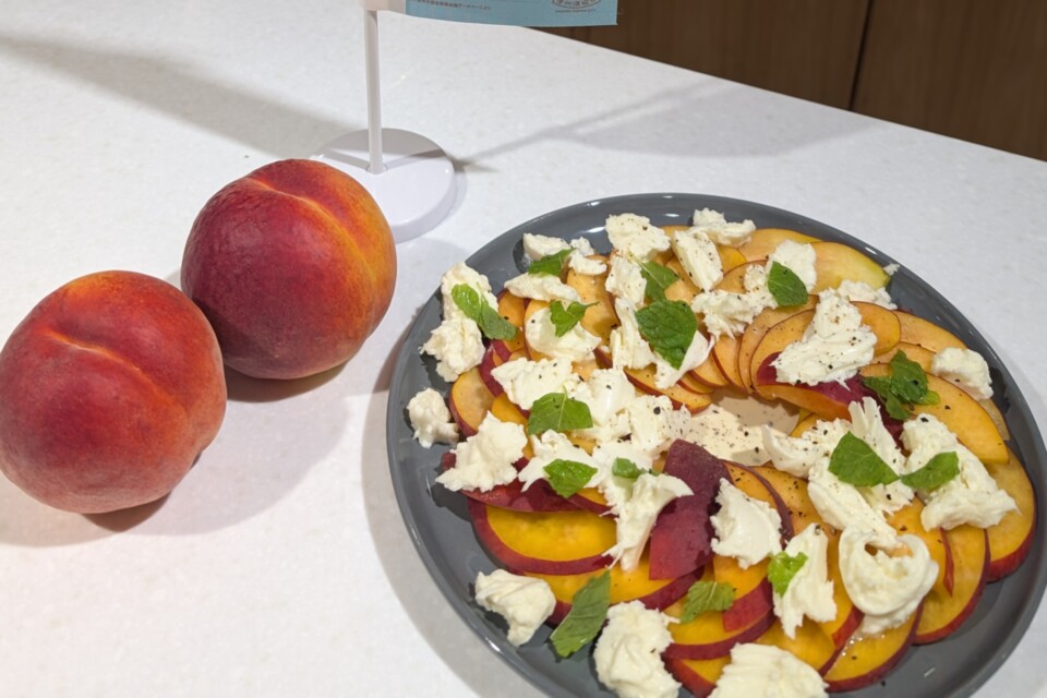 ワッサーを紹介するイベントなども開催（写真は2025年度の新潟県直江津市でのイベント時のもの）