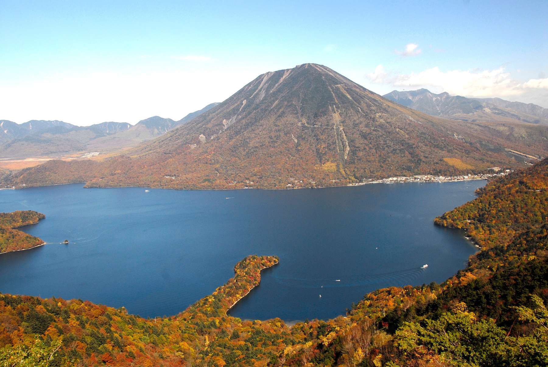 栃木県のロゴ