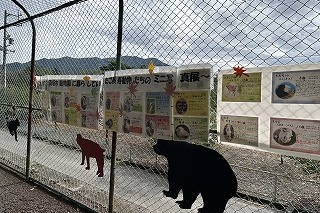 ご長寿動物をお祝いしよう