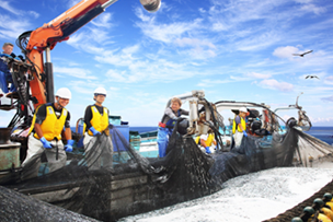 なぜ寄附を募るのか