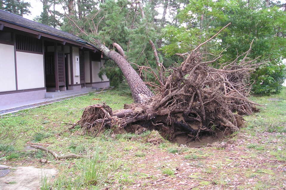 なぜ寄附を募るのか 画像