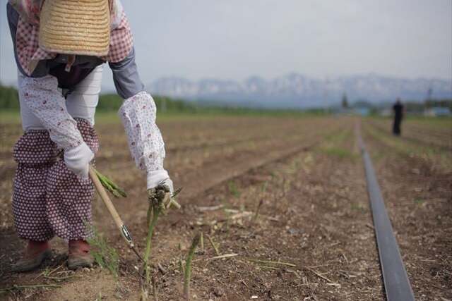 なぜ寄附を募るのか 画像
