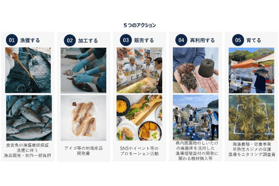 なぜ寄附を募るのか 画像