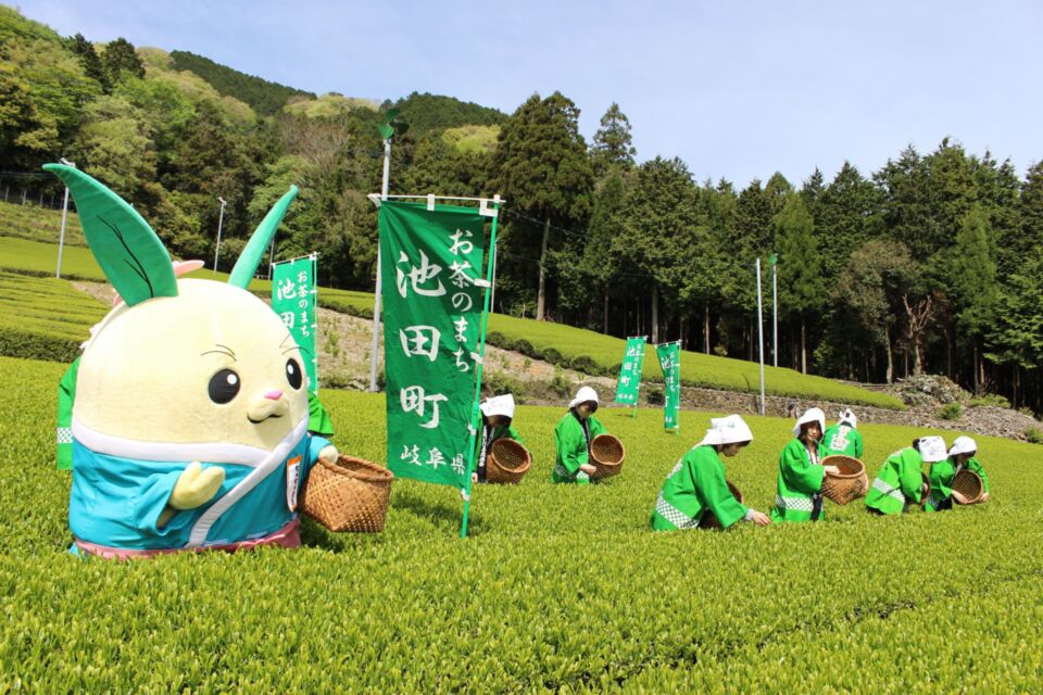 なぜ寄附を募るのか 画像