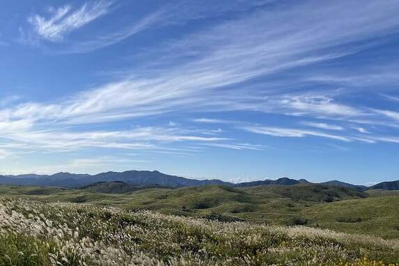 なぜ寄附を募るのか 画像