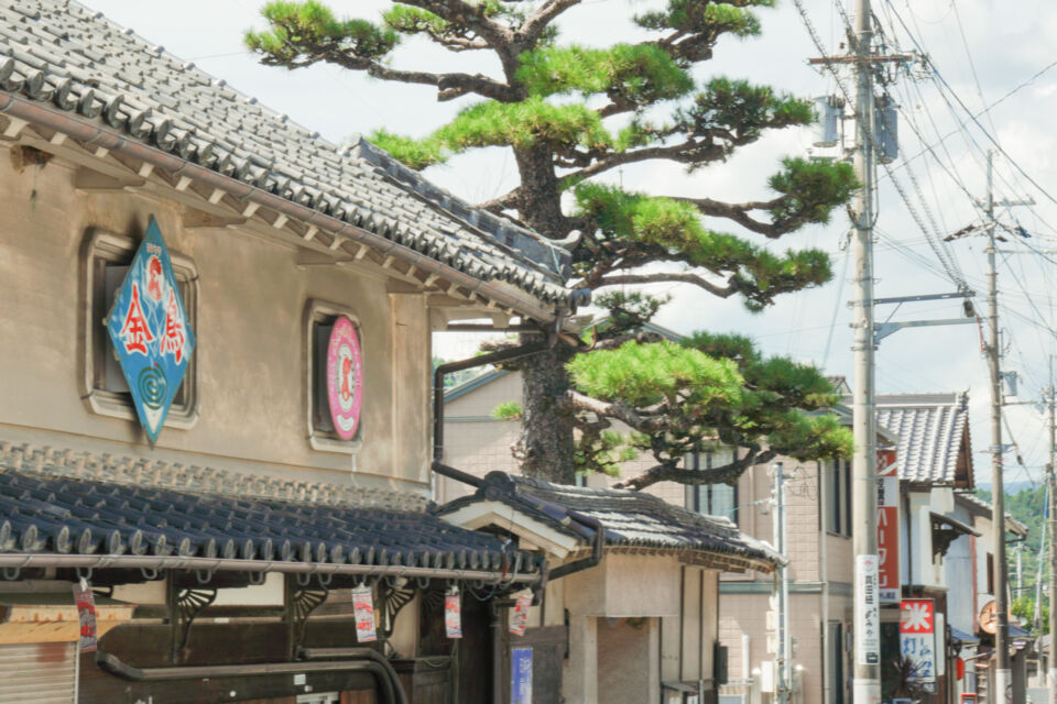 なぜ寄附を募るのか 画像