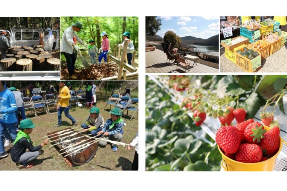 なぜ寄附を募るのか