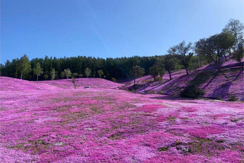 なぜ寄附を募るのか 画像