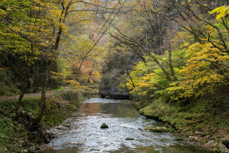 なぜ寄附を募るのか 画像