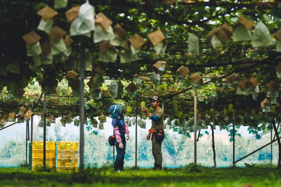 なぜ寄附を募るのか 画像