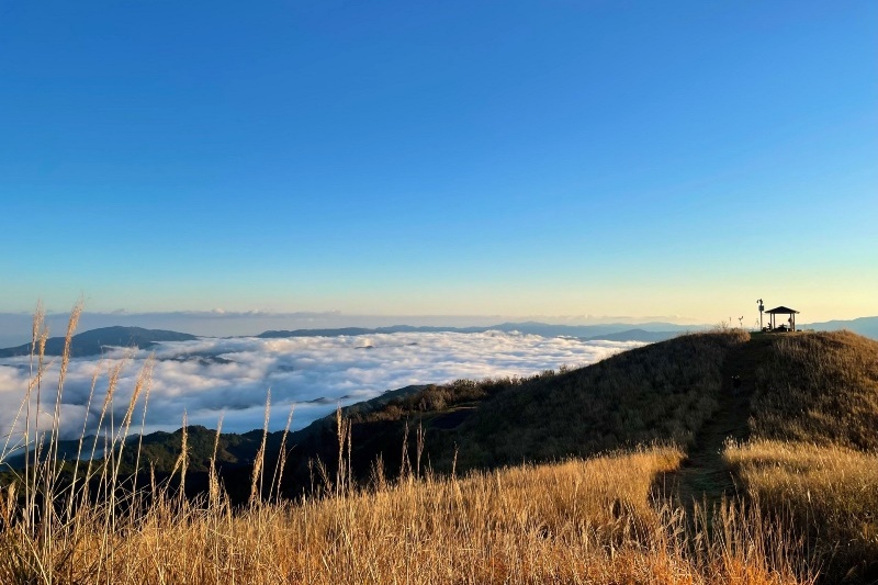 なぜ寄附を募るのか 画像