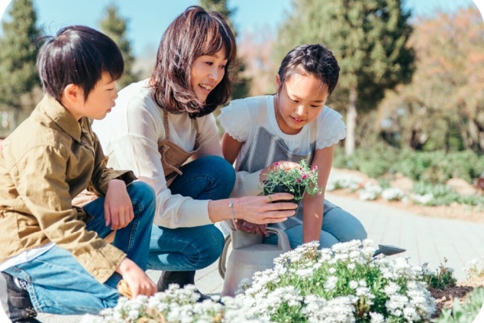 なぜ寄附を募るのか 画像