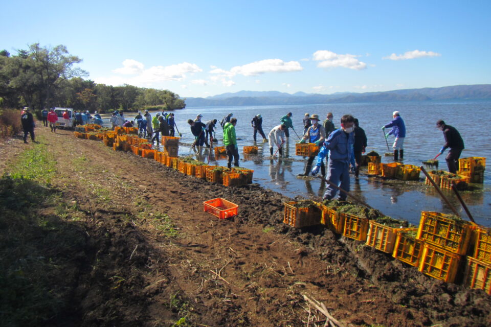 なぜ寄附を募るのか 画像
