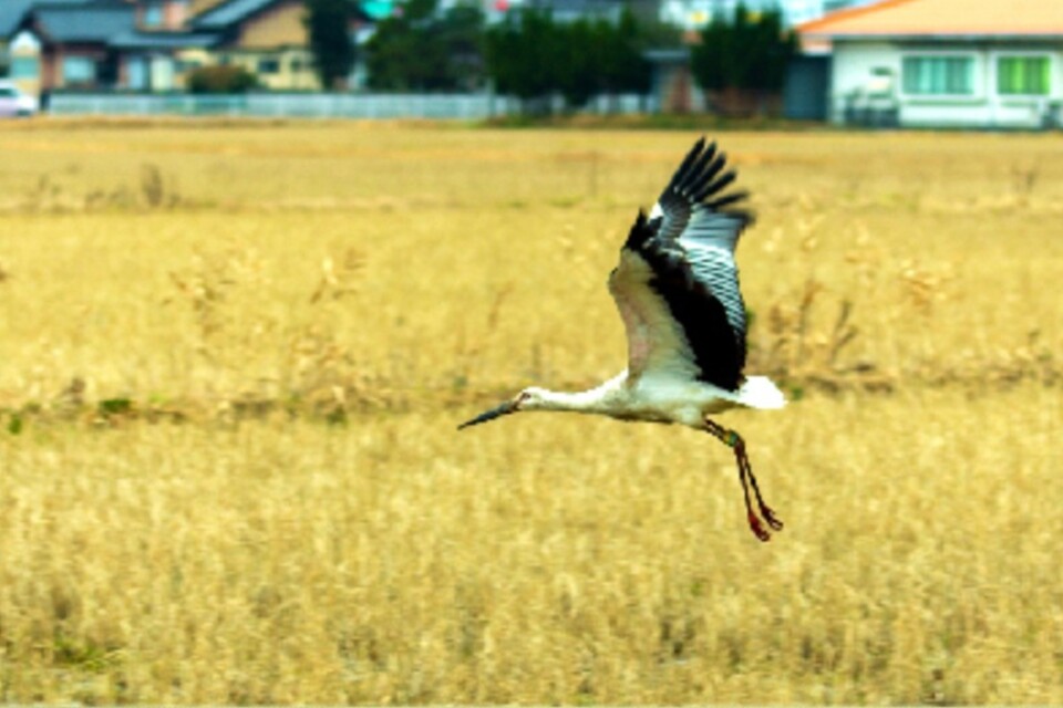 なぜ寄附を募るのか 画像