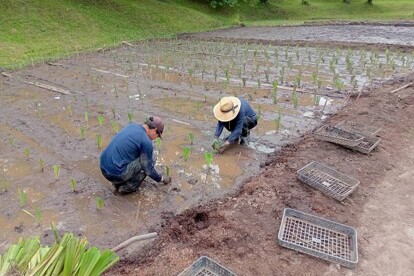 なぜ寄附を募るのか 画像