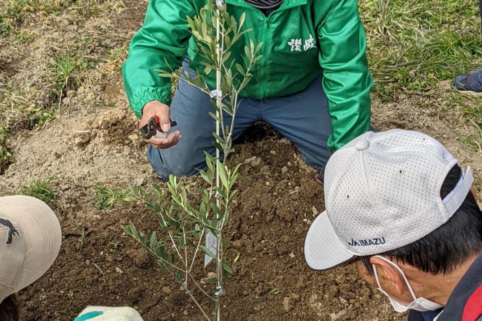 なぜ寄附を募るのか 画像