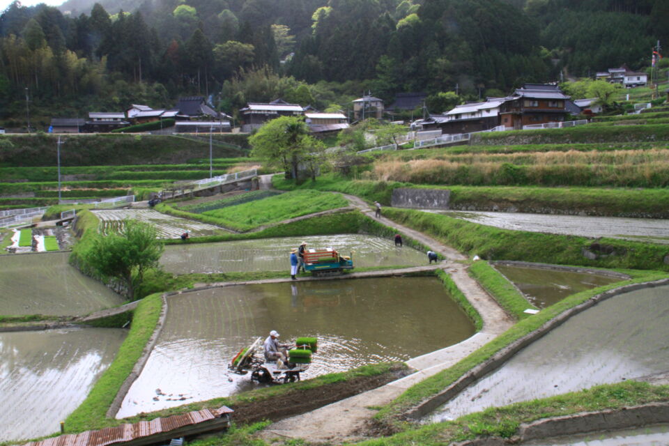 なぜ寄附を募るのか 画像