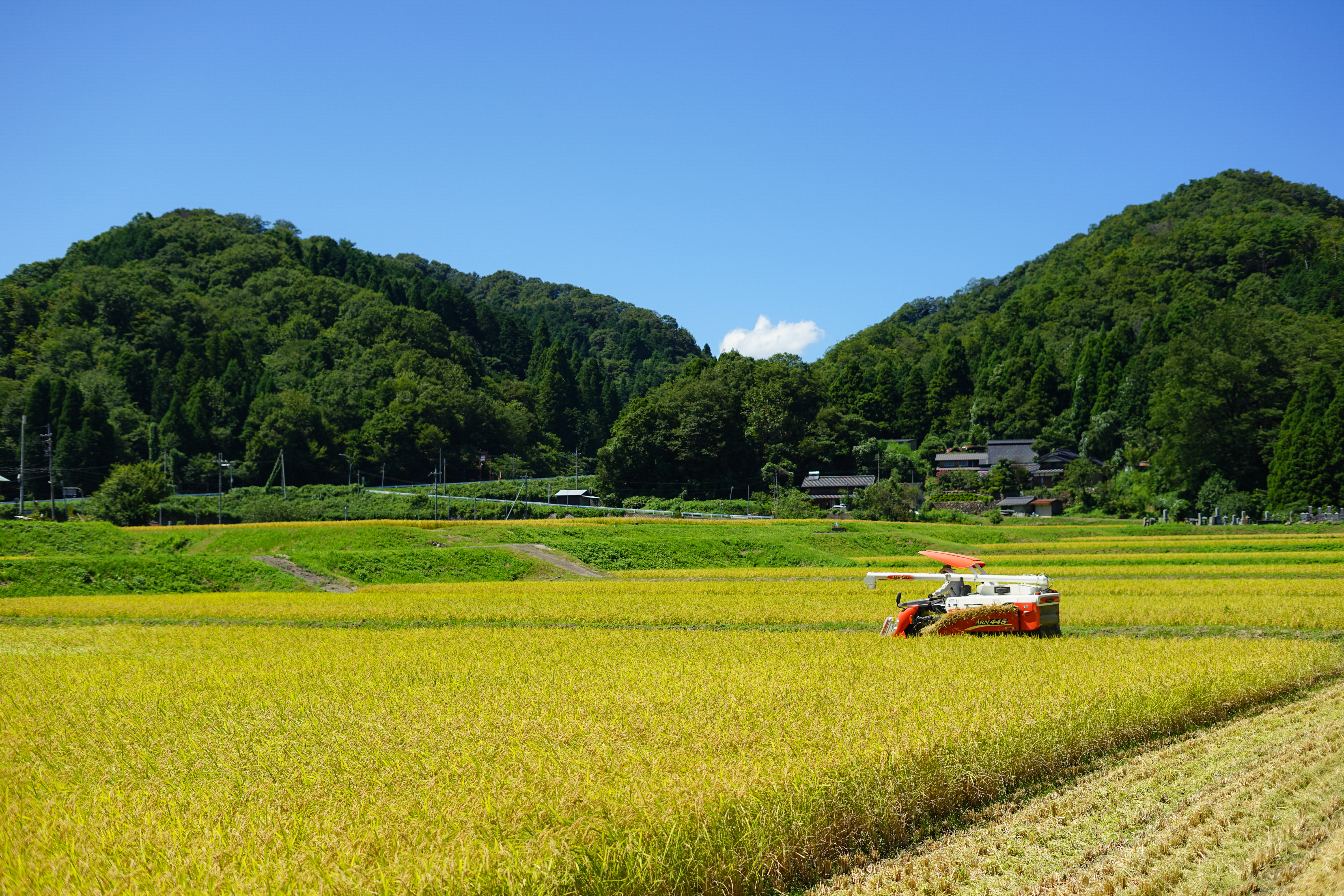 なぜ寄附を募るのか 画像