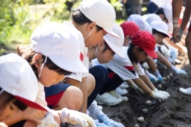 なぜ寄附を募るのか 画像