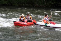 なぜ寄附を募るのか 画像