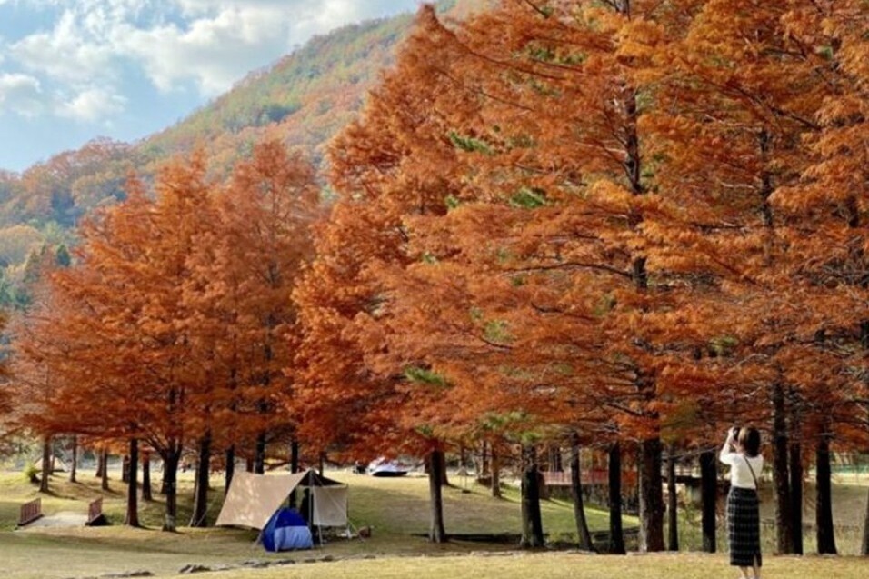 なぜ寄附を募るのか 画像