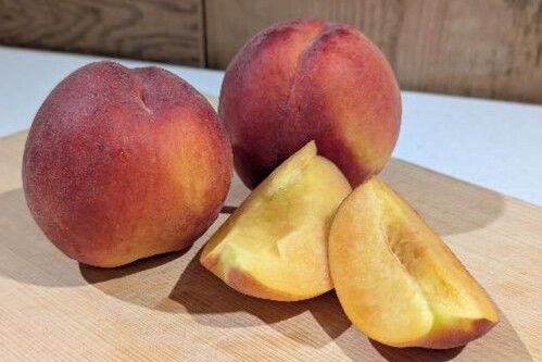 なぜ寄附を募るのか 画像