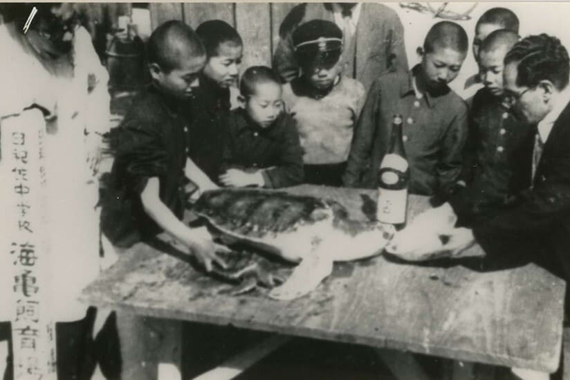 メッセージ画像