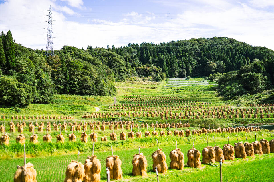 なぜ寄附を募るのか 画像