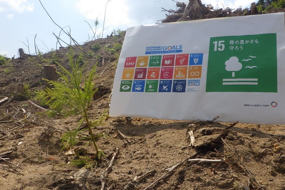 メッセージ画像