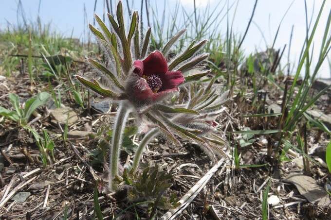 なぜ寄附を募るのか 画像