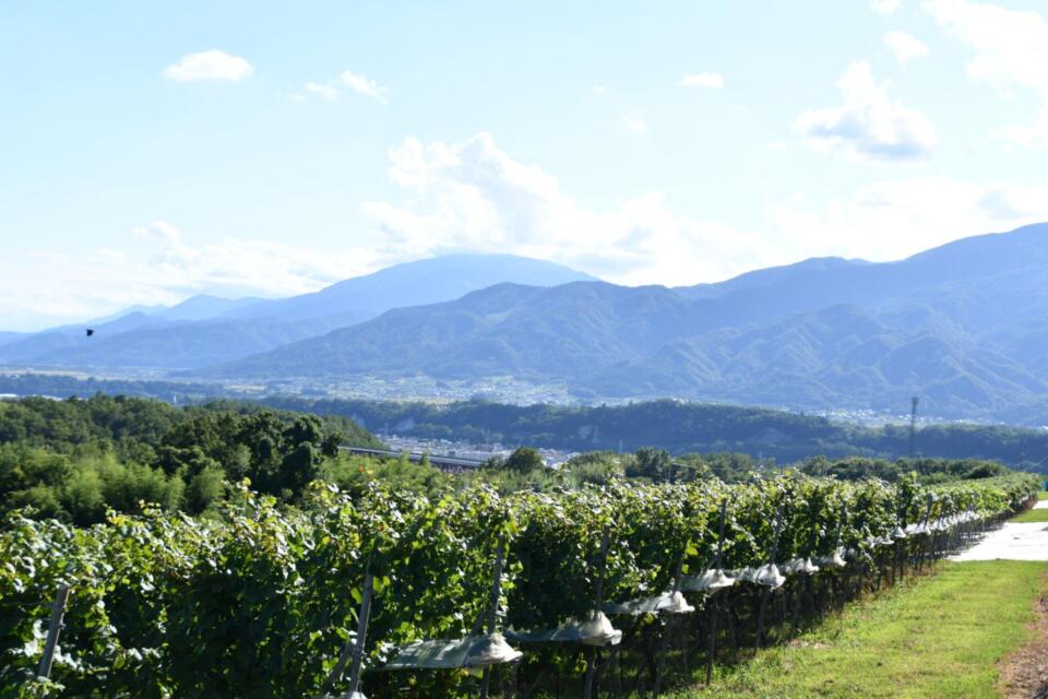 なぜ寄附を募るのか 画像