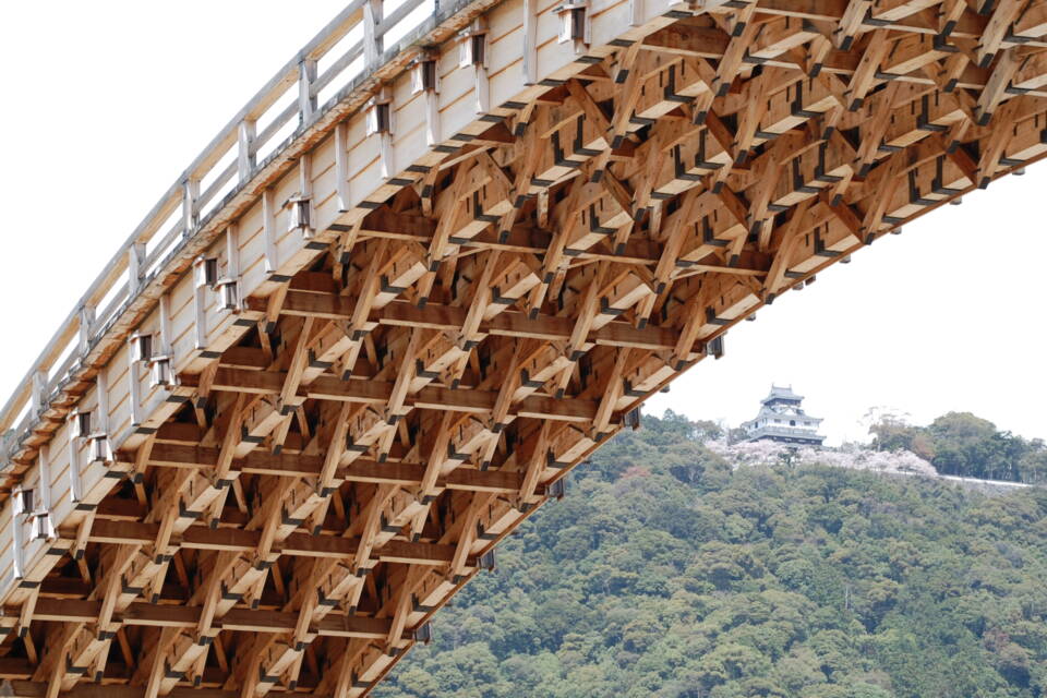 メッセージ画像