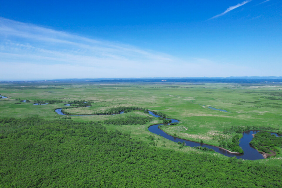 メッセージ画像