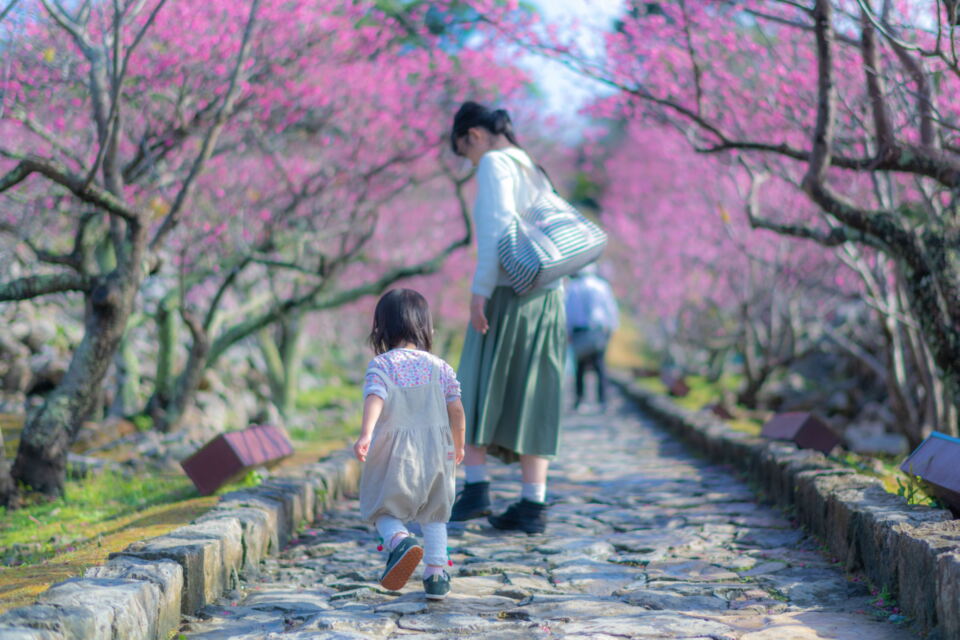 なぜ寄附を募るのか 画像