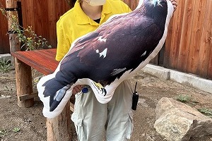 なぜ寄附を募るのか 画像