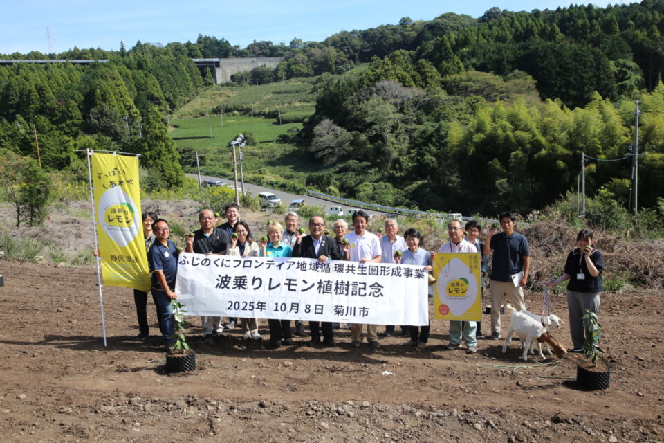 メッセージ画像