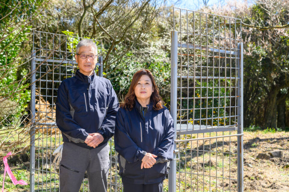 メッセージ画像