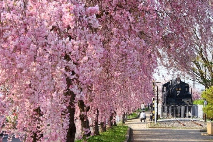 メッセージ画像