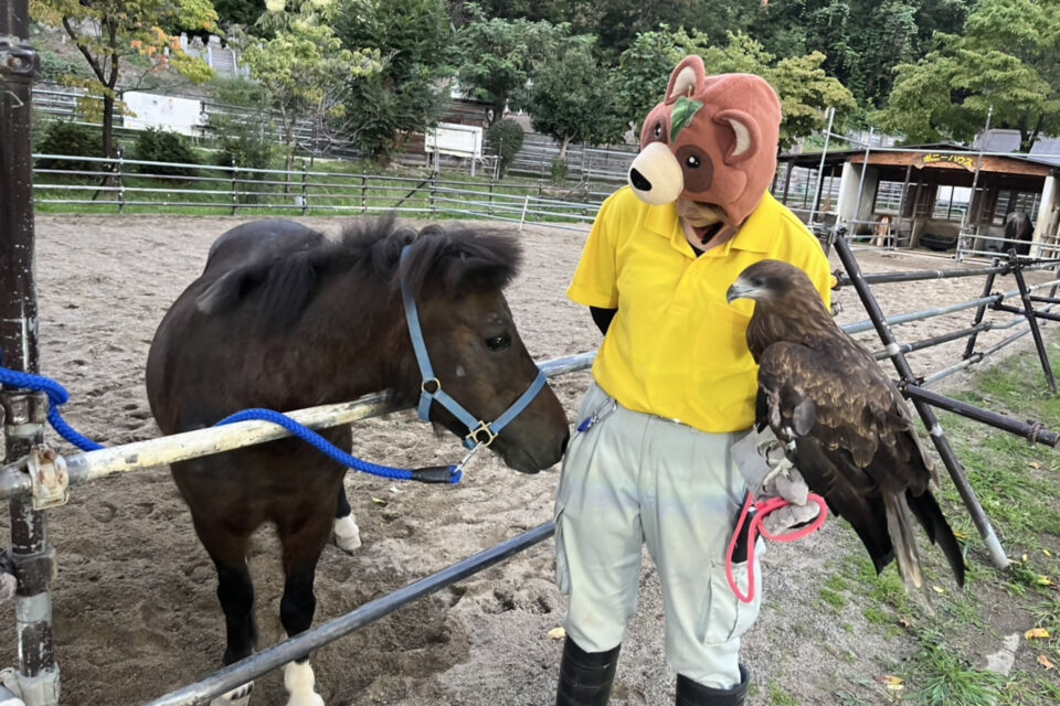 メッセージ画像