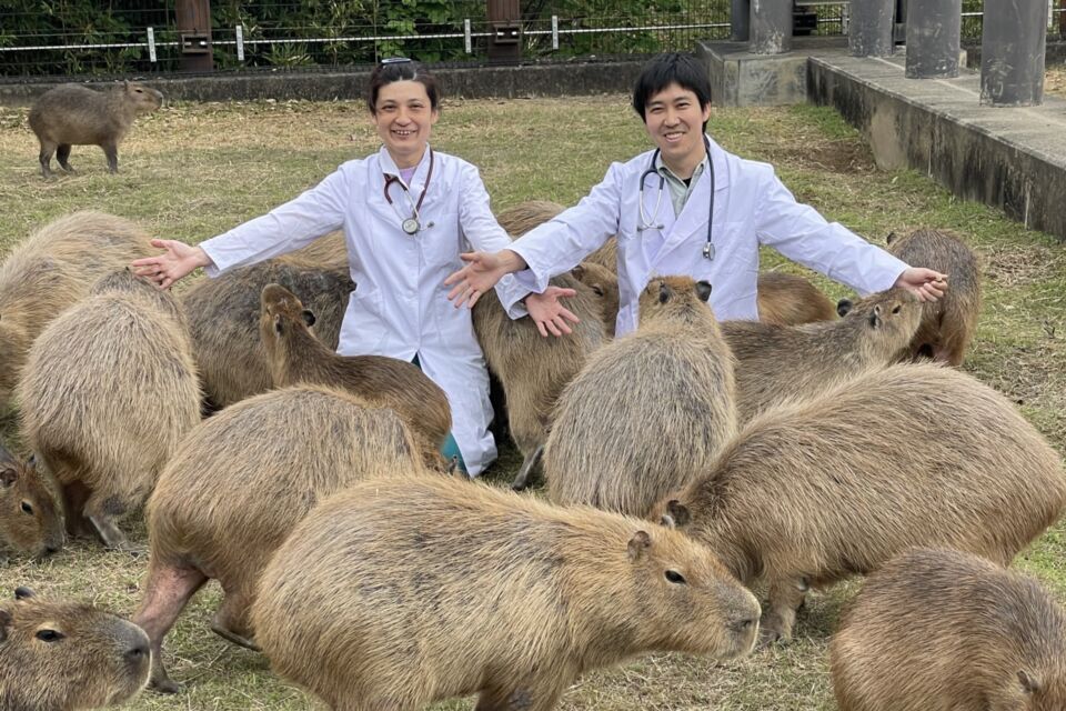 なぜ寄附を募るのか 画像